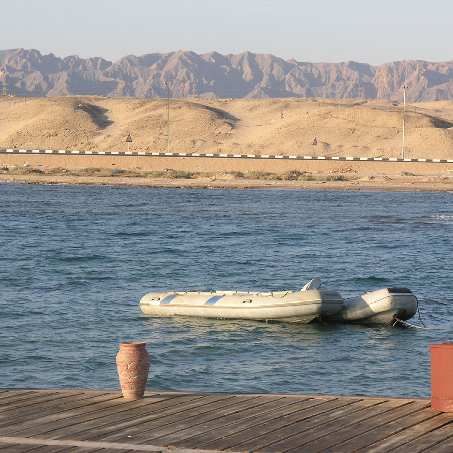 nurkowanie Egipt morze, rafa