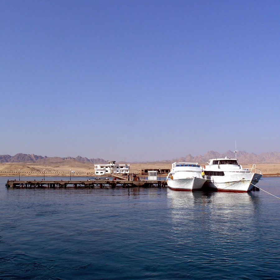 nurkowanie Egipt morze, port