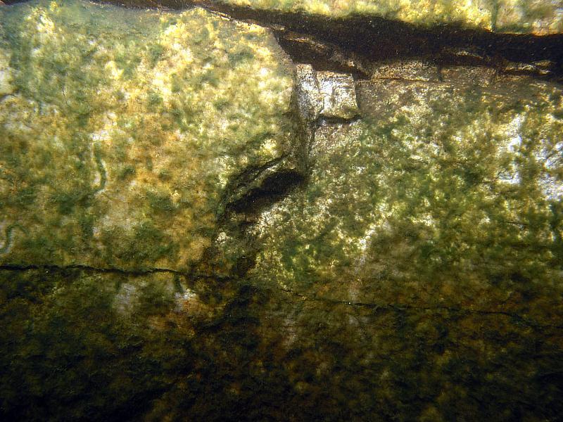 Kamieniołom Gębczyce - nurkowanie