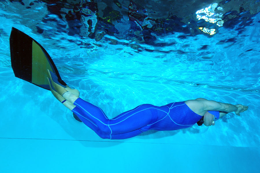 delfin pod wodą