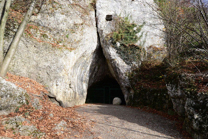 Jaskinia nietoperzowa
