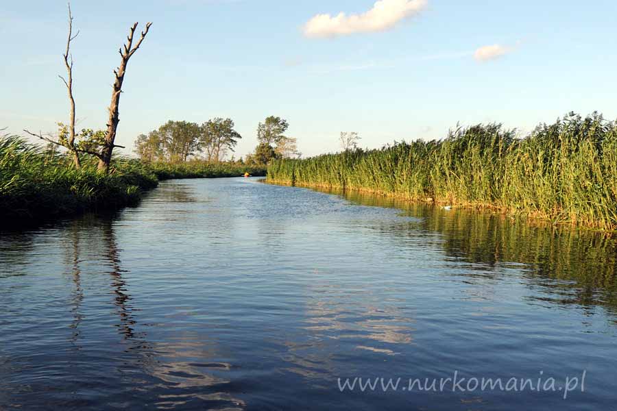 nurkowanie rzeka Piaśnica