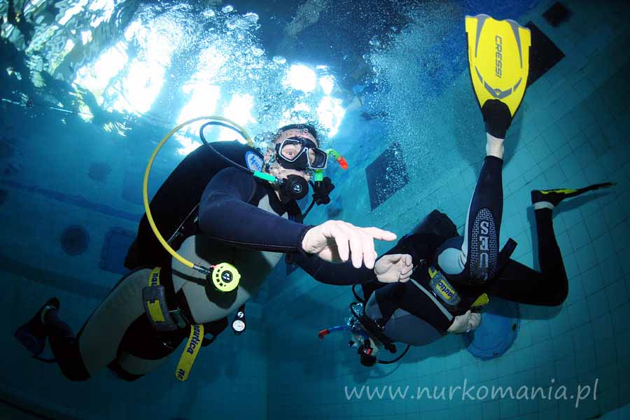 kurs nurkowania OWD PADI (Open Water Diver)