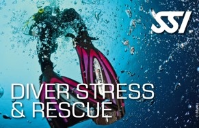 Struktura stopni SSI